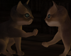 S= player cats e