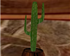 Tequila Cactus DS