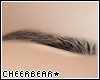 !C!☆ Clear Brow Blk
