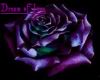 Purple Fluffeh Love