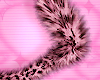 ! pink cat tail