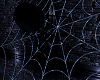 !! Blue Spider Web anim