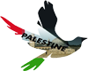 peace Palestine