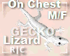 R|C Gecko White M/F
