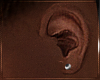 Asteri | Slvr Earring R