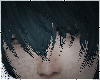 ☆n. leif teal