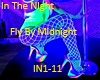 In The NIght