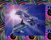 Wicked Dolphins
