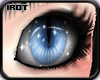 [iRot] Blue Purrfection