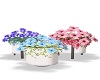 flowers pots
