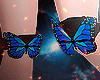 Butterfly (Add) 寒い