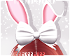 $K Cute Bunny Ears