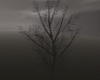 E* Spooky tree