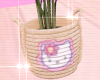 ! hkitty plant