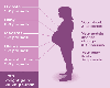 Weight Chart  Pregancy