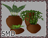 ! Plant Grouping