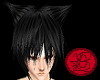 Black Cat Hair M