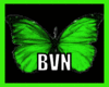 Dj LIght BVN Sound