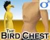Bird Chest -Mens v1a