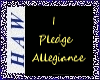 Pledge of Allegiance