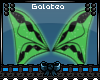 ♍Wings Hallowinx Layla