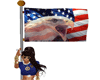 USA FLAG