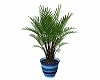 BLUE POTTED HOUSE PLANT
