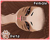 [Pets] Nena | hair v2