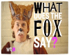 Fox Say and Dance