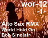 SAX RMX -World hold on-1
