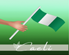 CAE Nigeria Flag
