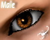 38RB Hazel Eyes - M