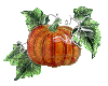 M Pumpkin with Vine
