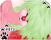 [Pets] Tila | hair v4