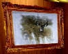 Deer pic in frame