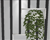 ! Modern Wall Divider