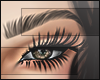 I│Armenian Brows Brown