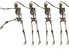 Spooky Skeletons Dancing