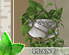 !Ⓜ cascading plant