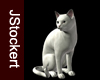 AP White Oriental Cat #1