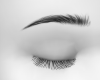 Brut Brows | black