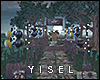 Y. Ranch Birthday DECO