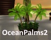 [BD]OceanPalms2