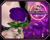 [💀]Purple Hold Rose