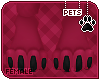 [Pets] Ziro | paws