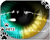 [Pets] Zorro | eyes v1