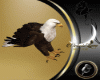 Eagle Pet  F/ Aguila