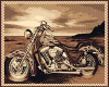 Harley Davidson Area Rug