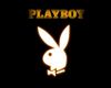 Playboy Bunny 2