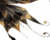 black and gold wings